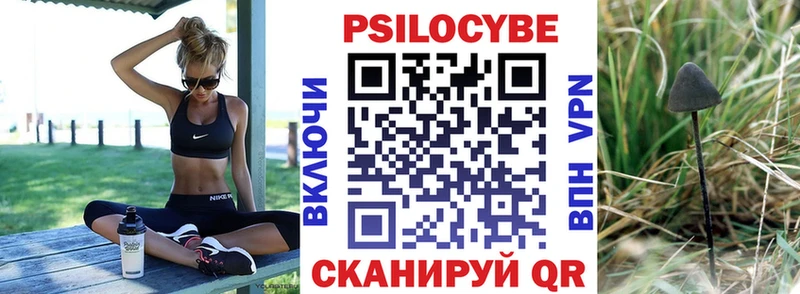 Галлюциногенные грибы Psilocybe  Кириллов 